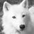 Alesia Torres's profile image