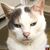 DeeDee Kelly's profile image