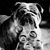 Fabrice Fafa's profile image