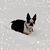 Elizabeth Ann Kraus's profile image