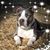 Coleen Kent's profile image