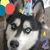 Stacy Button's profile image