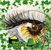 Terri Bachman Ayres's profile image