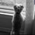 Lisa Ruttenberg's profile image
