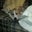 Maureen Wentz's profile image