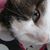 Julie Wallin's profile image