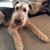 JoAnn Curtis's profile image