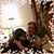 MaryRose Dalpes Kindsfather's profile image