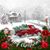 Jean OBier Terrell's profile image