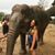 Amanda Zywicki's profile image