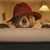 Chris Marley's profile image