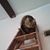Cindy Shields's profile image