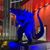 Alger Lo's profile image