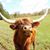 Gregor Mitrenga's profile image