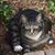 Carol Edwards Michaels's profile image