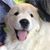 Claudette Kuhar's profile image