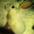 Jessica Gillians's profile image