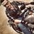 Rodger Shannon Kuhl's profile image