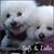 Sofi-Lulu Malek-Yonan's profile image