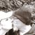 Charles Asquith's profile image