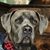 Nikki Shedletsky's profile image