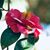 Lori Bellia's profile image