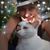 Sharon Glosser-Westphal's profile image