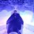 Rene Baibi Bustamante's profile image