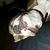 MaryAnne Mull-Karmann's profile image