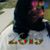 Cynthia Graham Huertas's profile image