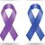 Tracey Chester Insley's profile image