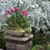 Joanne Feypel's profile image