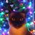 Nancy Bean's profile image