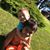 Neimaria Sa Telles's profile image