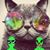 Kacper Strojek's profile image