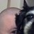 Arik Hookala-Kleindienst's profile image