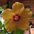 Karen Baxter's profile image