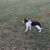Jennifer Trouille Breaux's profile image