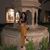 Daniella Valderrama's profile image