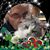 Jane K Scales's profile image