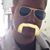 Ross Menclewicz's profile image