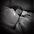 Brooke Mcomber's profile image