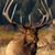 Sean Tarbell's profile image