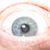 Rich Hanna's profile image