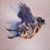 Vali Dugan's profile image