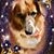 Wanda Mroz's profile image