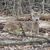 Barbara Breedlove's profile image