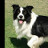 MB's profile image