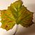 Rhoda Lenuna's profile image