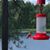 Debbie Holliday Keeley's profile image